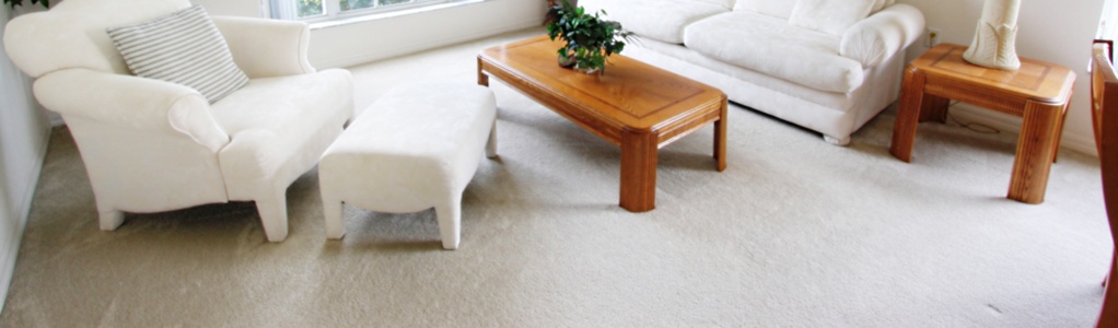 clean living room carpet